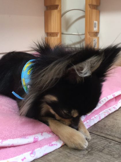 Processed with MOLDIV