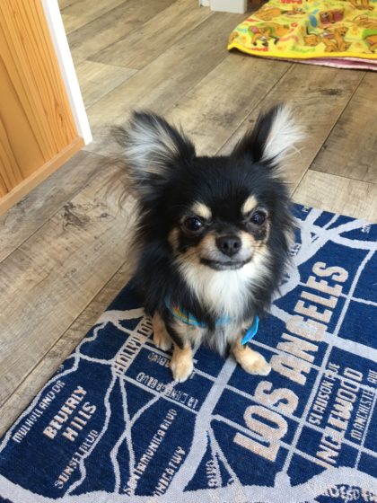 Processed with MOLDIV