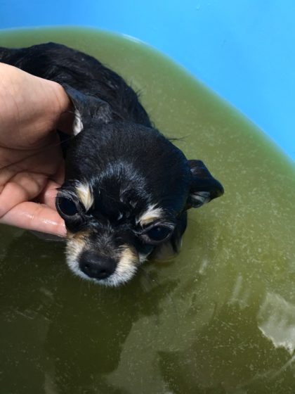 Processed with MOLDIV