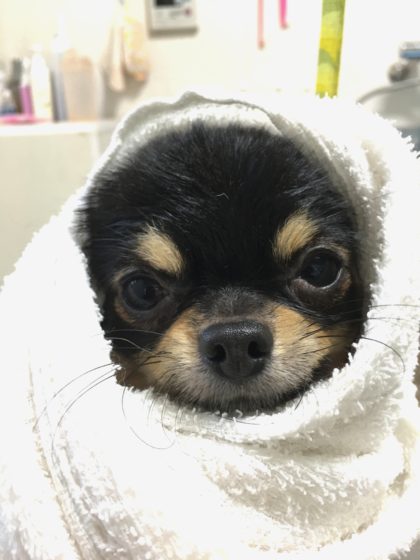 Processed with MOLDIV