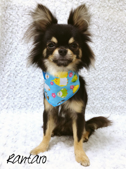 Processed with MOLDIV