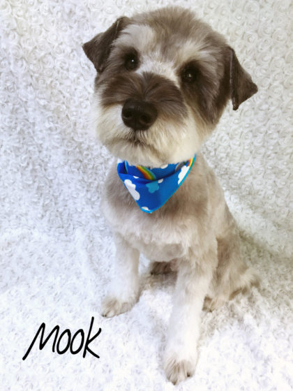 Processed with MOLDIV