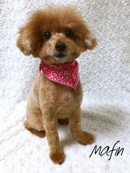 Processed with MOLDIV