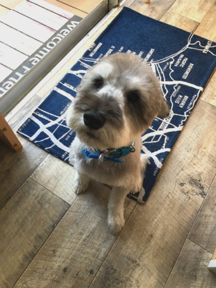 Processed with MOLDIV