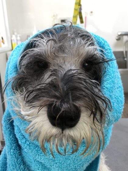 Processed with MOLDIV