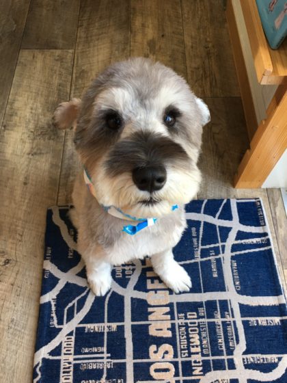 Processed with MOLDIV