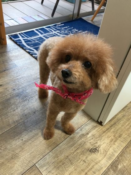 Processed with MOLDIV