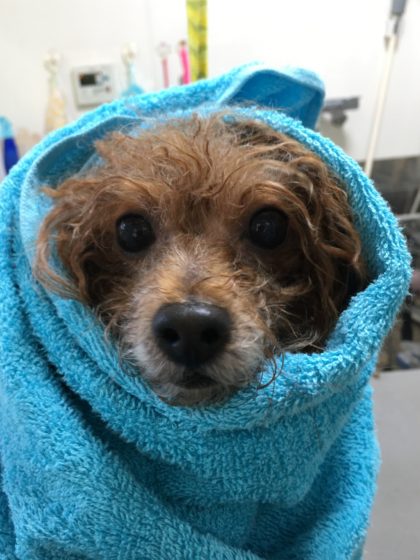 Processed with MOLDIV