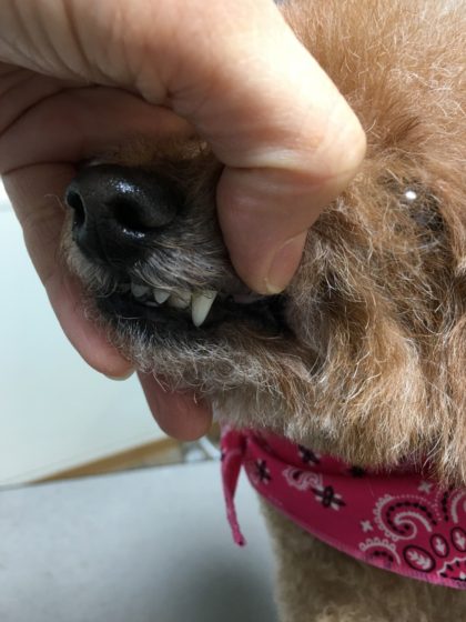 Processed with MOLDIV