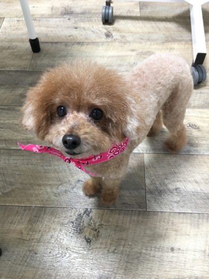 Processed with MOLDIV