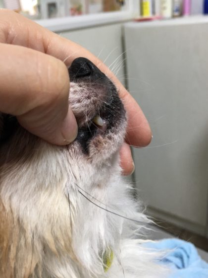 Processed with MOLDIV