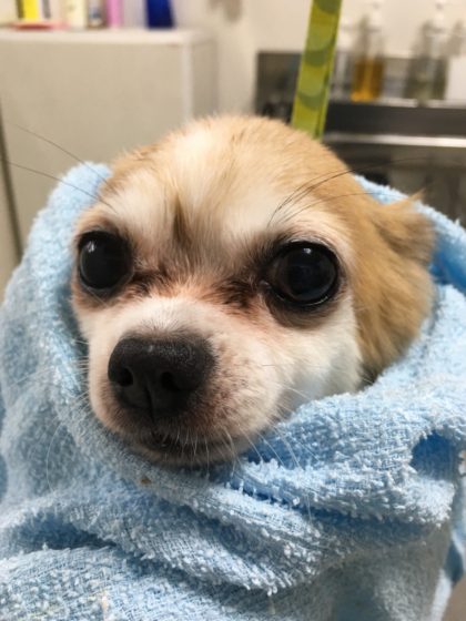 Processed with MOLDIV