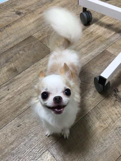 Processed with MOLDIV