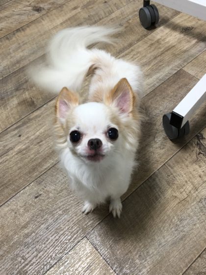 Processed with MOLDIV