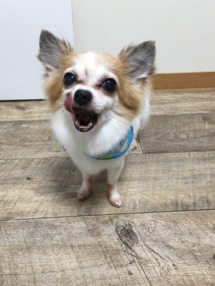 Processed with MOLDIV