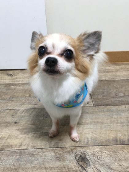 Processed with MOLDIV