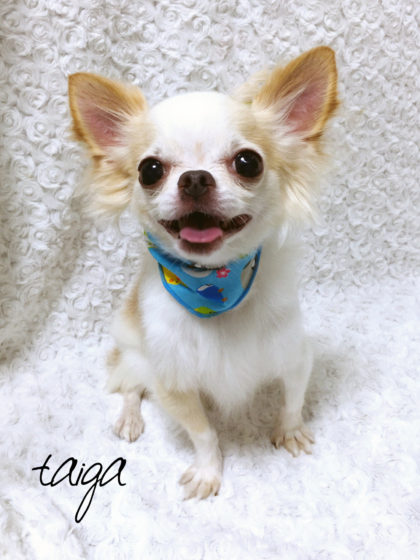 Processed with MOLDIV