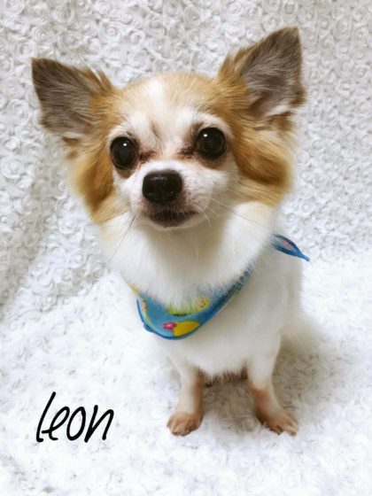 Processed with MOLDIV