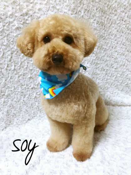 Processed with MOLDIV