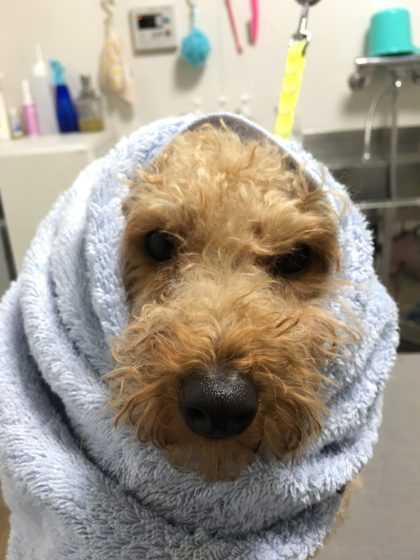 Processed with MOLDIV