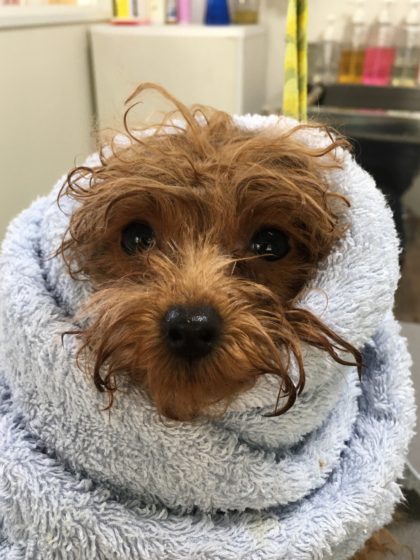 Processed with MOLDIV