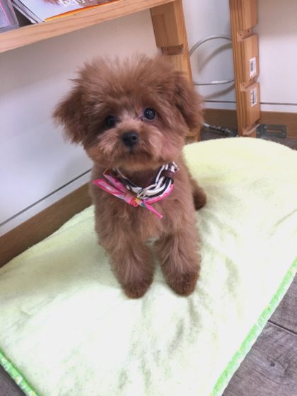 Processed with MOLDIV