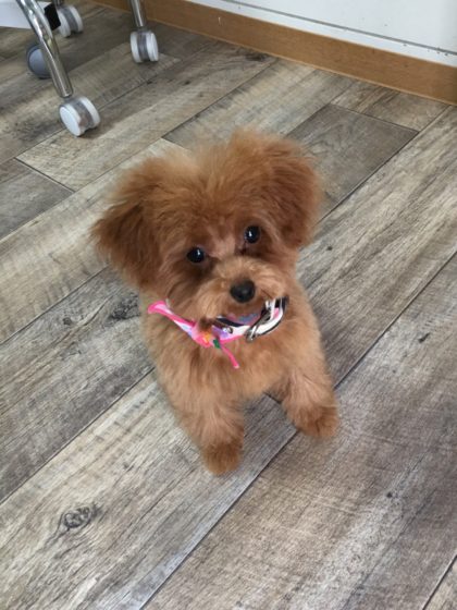 Processed with MOLDIV