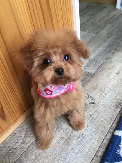 Processed with MOLDIV