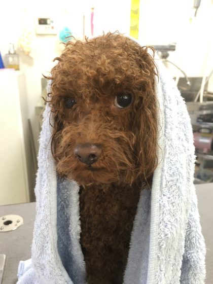 Processed with MOLDIV