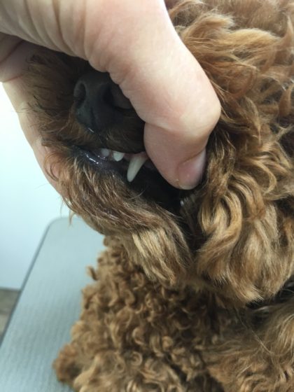 Processed with MOLDIV