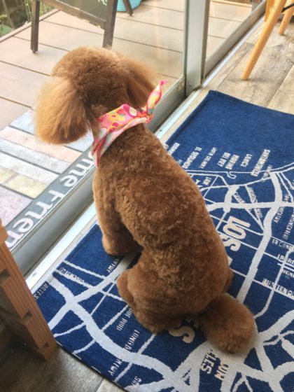 Processed with MOLDIV