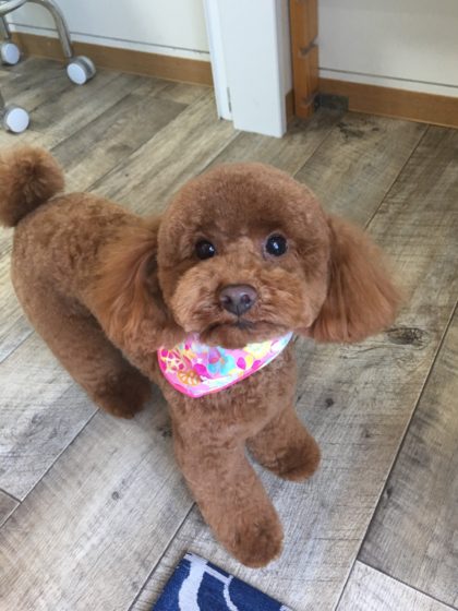 Processed with MOLDIV