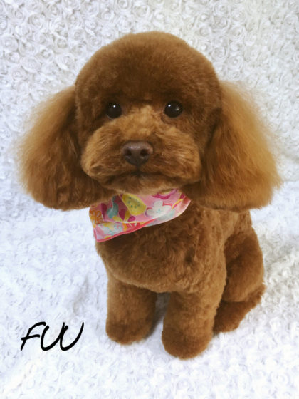 Processed with MOLDIV