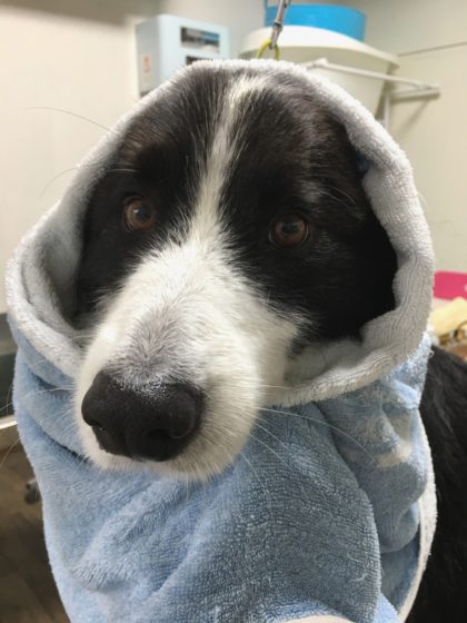 Processed with MOLDIV