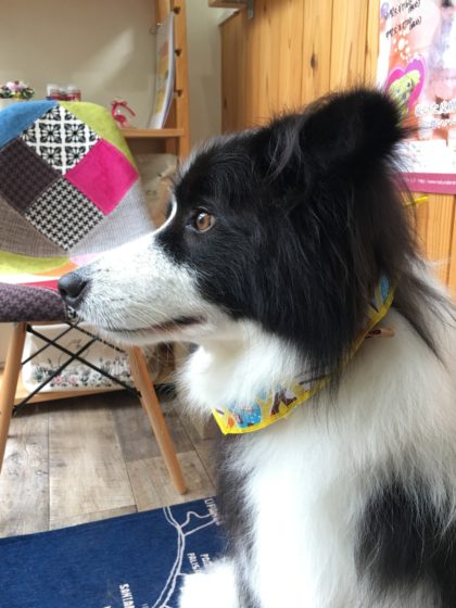 Processed with MOLDIV