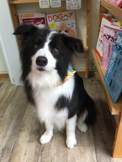 Processed with MOLDIV