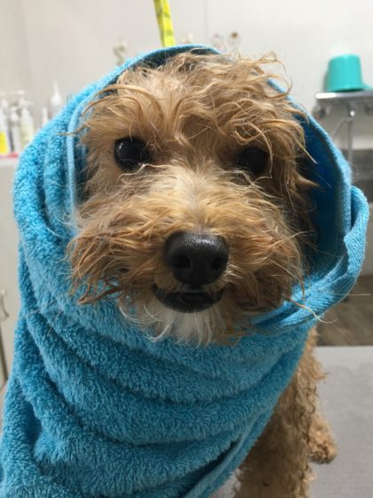 Processed with MOLDIV