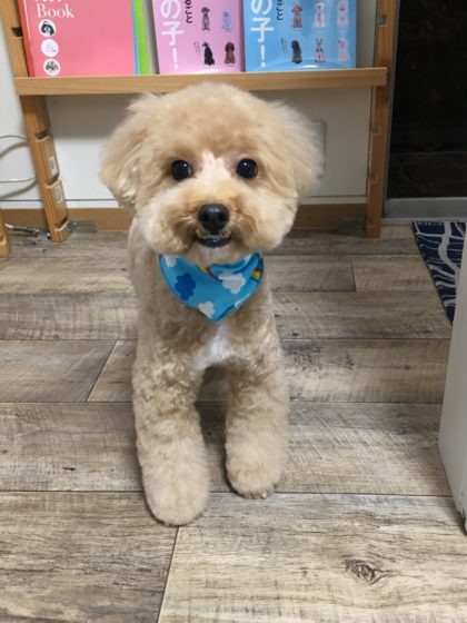 Processed with MOLDIV