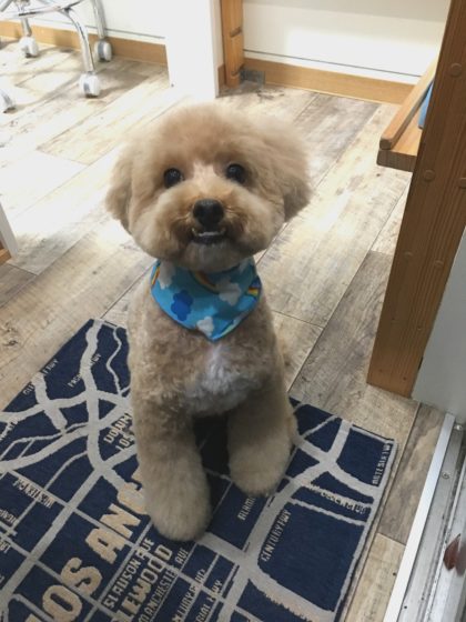 Processed with MOLDIV