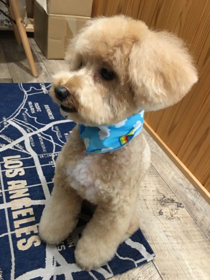 Processed with MOLDIV