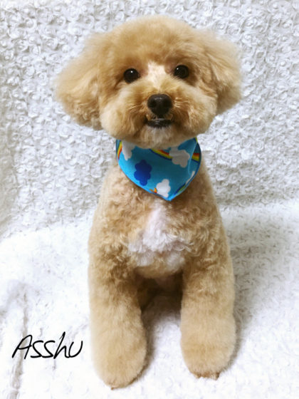 Processed with MOLDIV