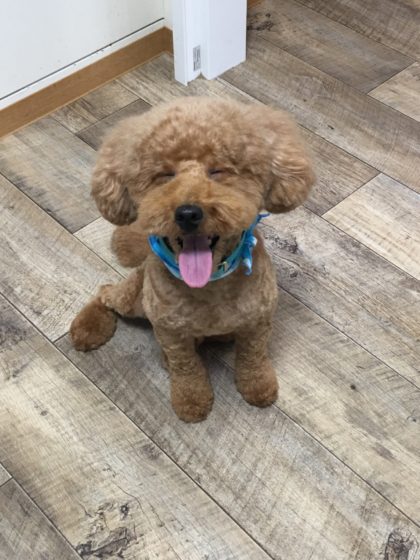 Processed with MOLDIV