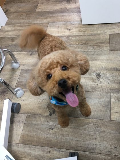 Processed with MOLDIV