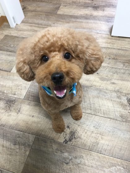 Processed with MOLDIV