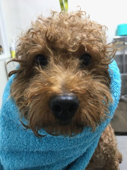 Processed with MOLDIV