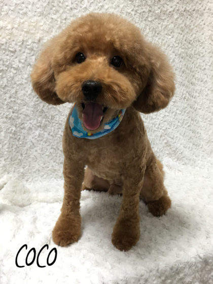 Processed with MOLDIV