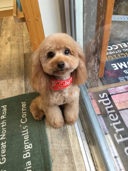 Processed with MOLDIV