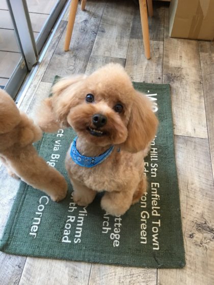 Processed with MOLDIV