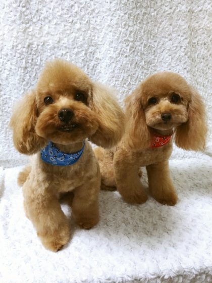 Processed with MOLDIV