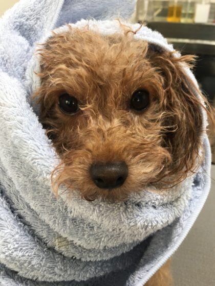 Processed with MOLDIV